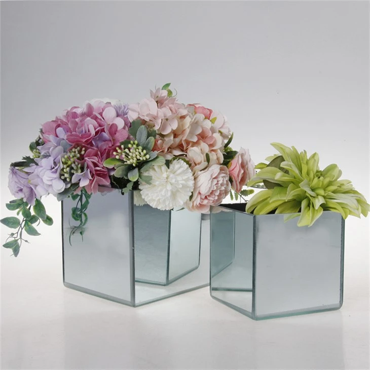 Hydroponic Glass Vase